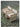 DIME GARDEN Marisol Versatile Folding Beach Chair Set from DIME GARDEN