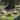 DIME GARDEN Esperanza Elegant Reclining Rattan Chair Set from DIME GARDEN