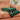 Lounging Cat Green Retro Blanket from maija