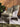 DIME GARDEN Montpelier Chic Contemporary Indoor Furniture from DIME GARDEN