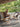 DIME GARDEN Alhambra Rustic Natural Coffee Table from DIME GARDEN