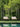 DIME GARDEN Cielo Cozy Rattan Hanging Chair from DIME GARDEN