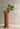 Roman Column Vase from muse