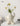 Big Feet Vase from maija