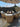 DIME GARDEN Santiago Cozy Elegant Rattan Chair Set from DIME GARDEN