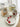 YASUKI Takashi Elegant Underglaze Ceramic Mug Set from YASUKI