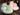 PEANUTS Takarazuka Ergonomic Winter Chair Cushion from PEANUTS