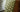 UNDERLAND Green Manor d'Este Handmade Rug from UNDERLAND