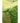 RUG HOME Aeliana Lush Green Moss Floor Mat from RUG HOME