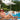 DIME GARDEN Seraphina Solar-Powered Beach Umbrella from DIME GARDEN