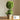 JUHAN Isolde Lush Greenery Decorative Potted Plant from JUHAN