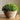 JUHAN Isolde Lush Greenery Decorative Potted Plant from JUHAN