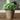 JUHAN Isolde Lush Greenery Decorative Potted Plant from JUHAN