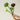 JUHAN Isadora Lush Handmade Green Plant Decorative Ornament from JUHAN