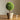 JUHAN Isolde Lush Greenery Decorative Potted Plant from JUHAN