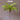 JUHAN Thalassa Ornate Greenery Simulation Plant Arrangement Decor from JUHAN