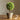 JUHAN Isolde Lush Greenery Decorative Potted Plant from JUHAN