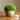 JUHAN Isolde Lush Greenery Decorative Potted Plant from JUHAN