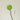 JUHAN Isadora Lush Handmade Green Plant Decorative Ornament from JUHAN