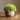 JUHAN Isolde Lush Greenery Decorative Potted Plant from JUHAN