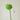 JUHAN Isadora Lush Handmade Green Plant Decorative Ornament from JUHAN