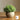 JUHAN Isolde Lush Greenery Decorative Potted Plant from JUHAN