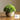 JUHAN Isolde Lush Greenery Decorative Potted Plant from JUHAN