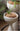 Alien Scoop Standing Flower Pot from Yuanjie Home