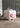 Cube Pastel Pink Piggy Side Table from maija