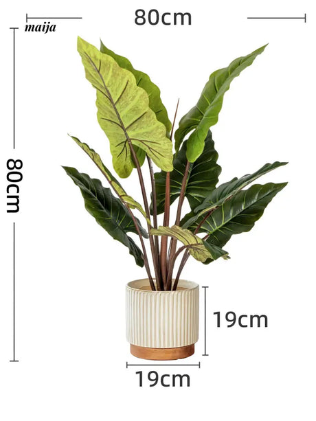 Artificial Rainbow Taro Plant from maija