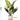 Artificial Rainbow Taro Plant from maija