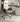 PINYI Simon High Back Office Chair from PINYI