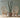 19 DREAM SPACE Japanese Rattan Chair Set from 19 DREAM SPACE