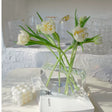NICEMOON Theo Transparent Acrylic Hydroponic Vase from NICEMOON
