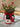 CLICK Green Pine Branch Christmas Decor Set from CLICK