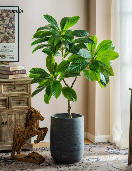 Artificial Loquat Plant from maija