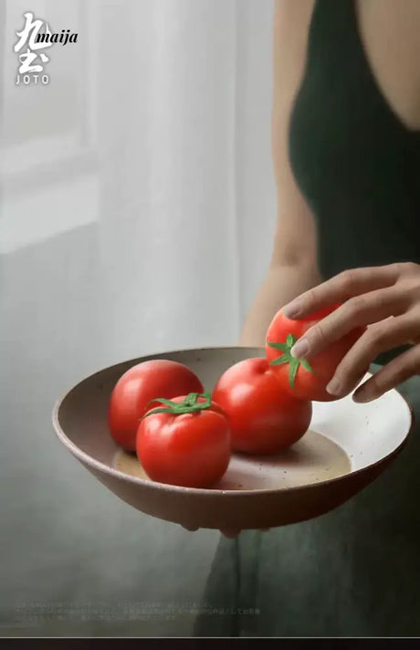 JOTO Japanese Handmade Ceramic Dinner Plate Restaurant Tableware from JOTO