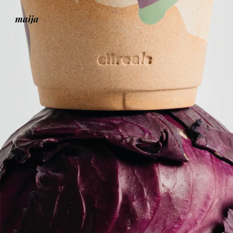 CIIREALS Eggplant Ceramic Planter from maija