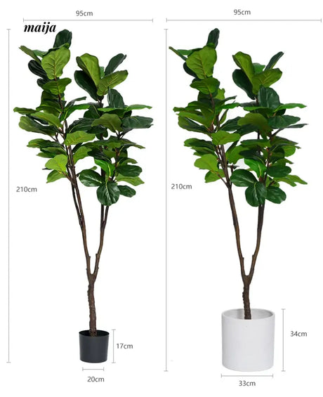 Artificial Fig Plant from Royal Forest