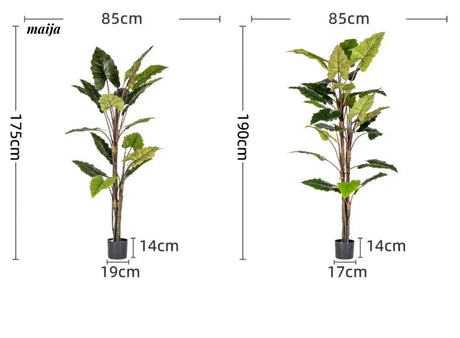Artificial Rainbow Taro Plant from maija