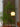 LYNN Cream Pendant Jade Ceiling Lamp from Lynn's Lamp