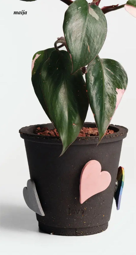 CIIREALS Love Tanabata Ceramic Planter from maija