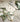 Emerald Mosaic Marble Tiles from LIZARD KING