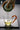 JOTO Advanced Japanese Tea Cup Set from JOTO