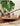 HOMESIDE Scandinavian Tea Set from HOMESIDE