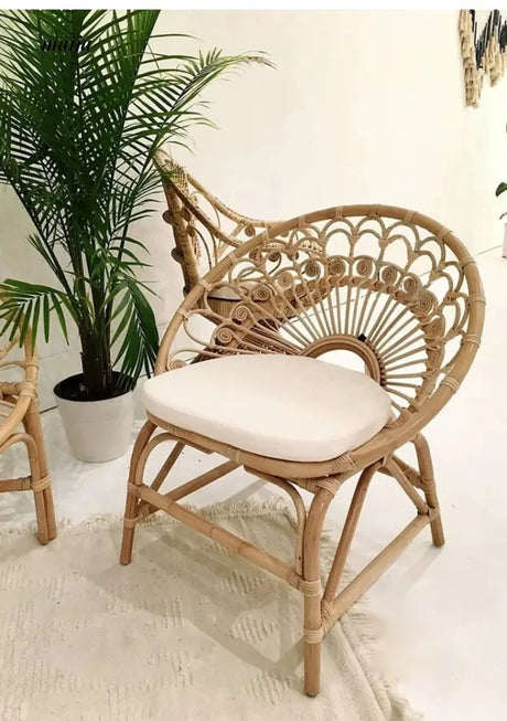 19 DREAM SPACE Peacock Vine Chair from 19 DREAM SPACE