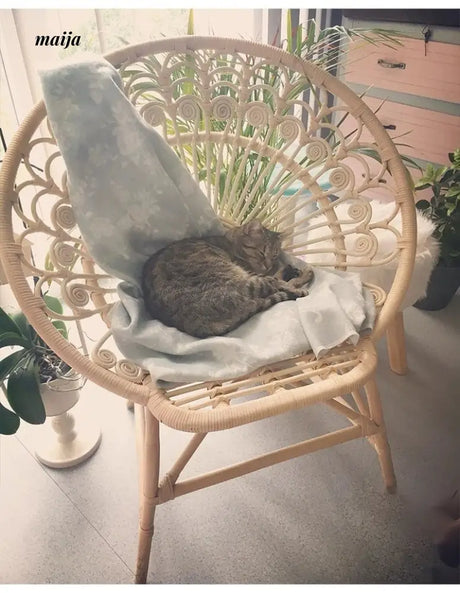 19 DREAM SPACE Peacock Vine Chair from 19 DREAM SPACE
