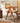 RATTAN CRAFTSMAN Modern Dining Highchair from RATTAN CRAFTSMAN