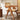 RATTAN CRAFTSMAN Modern Dining Highchair from RATTAN CRAFTSMAN