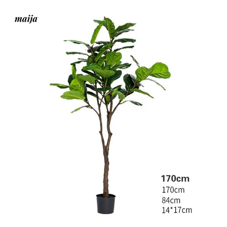 Artificial Fig Plant from Royal Forest